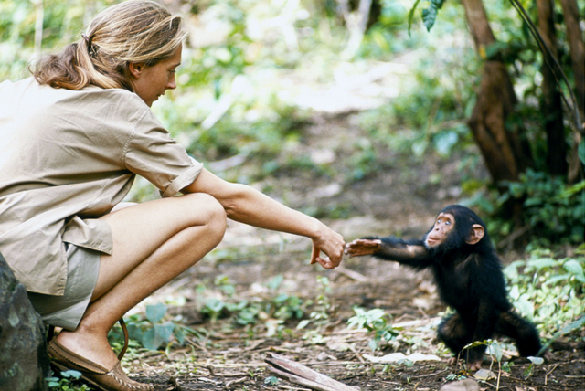 JaneGoodall