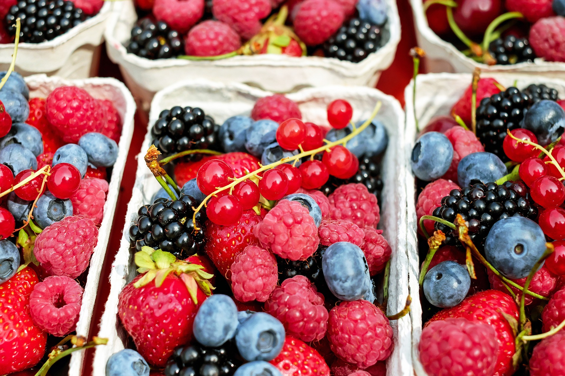 Okanagan Berries