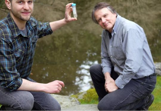 Christoph Deeg and Curtis Suttle isolated Bodo saltans virus in samples from UBC’s Nitobe Memorial Garden.