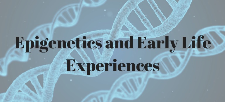 Epigenetics and early life experiences