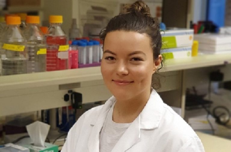 Sara mostafavi thesis 04 image