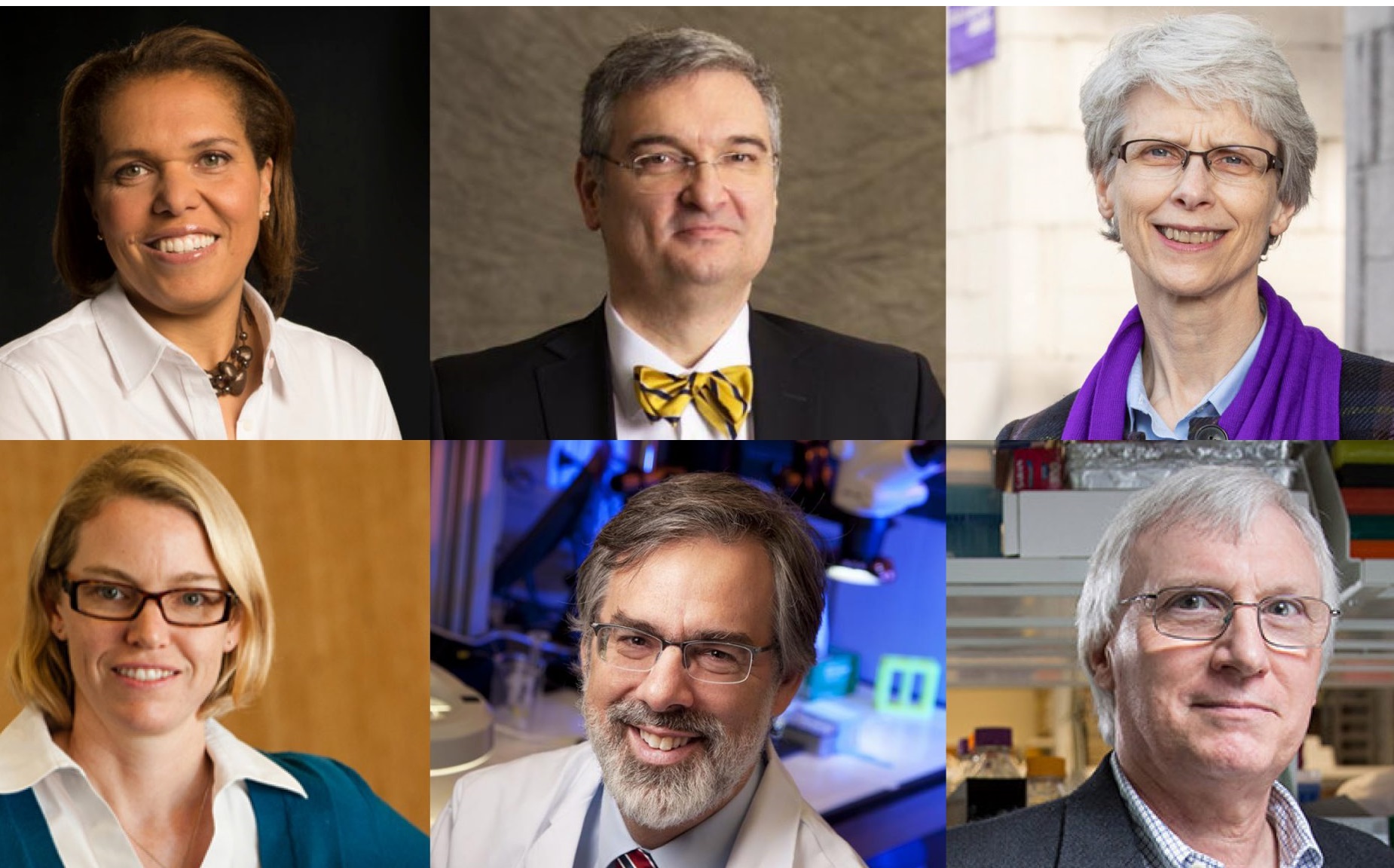 SBME’s 2021 Executive Advisory Committe