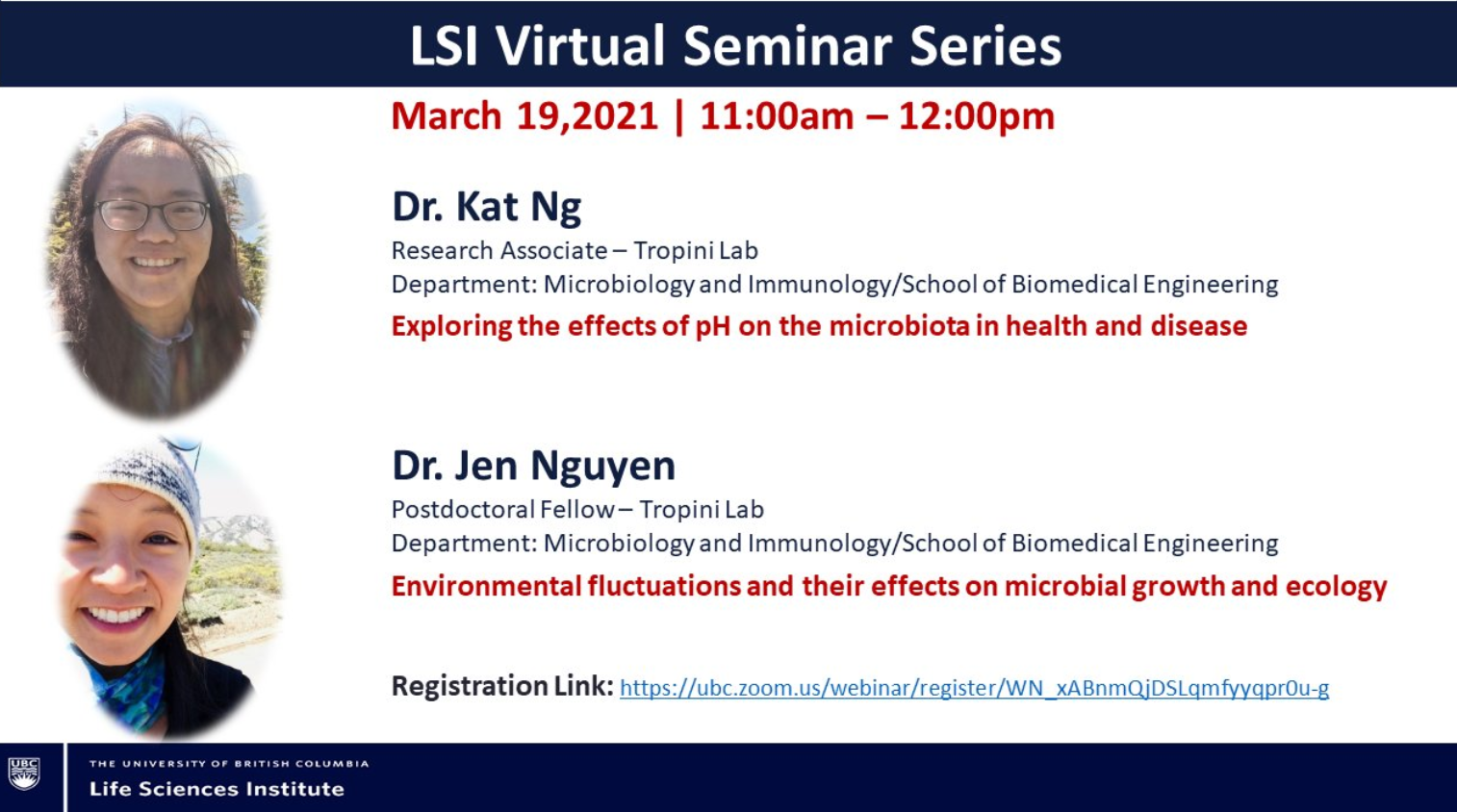 LSI Virtual Seminar