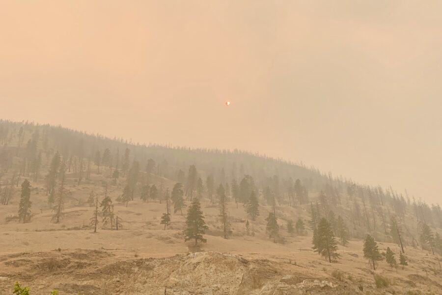 smokey air over forest
