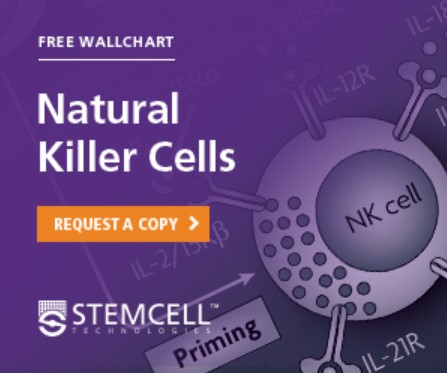 An overview of human NK cell receptors, activation, and biological function. Download your free wallchart now.