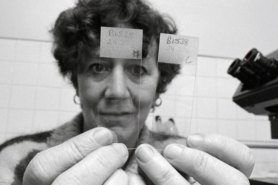 Julia Levy