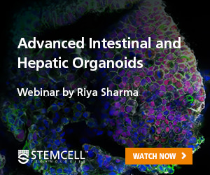 Advancing Organoid Models: Introducing New Capabilities for Intestinal and Hepatic Research” webinar presented by Riya Sharma at ISSCR 2025.
