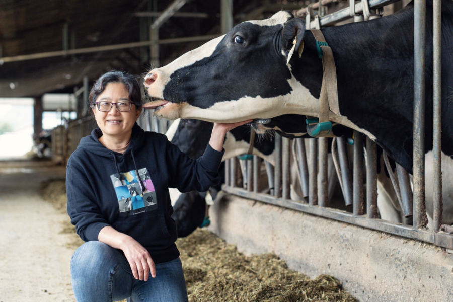 Dr. Leluo Guan with cow