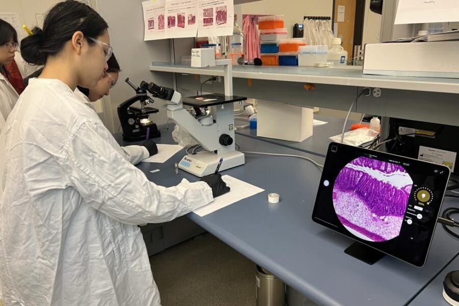 Visiting high school students examine mouse intestinal tissue under the microscope.