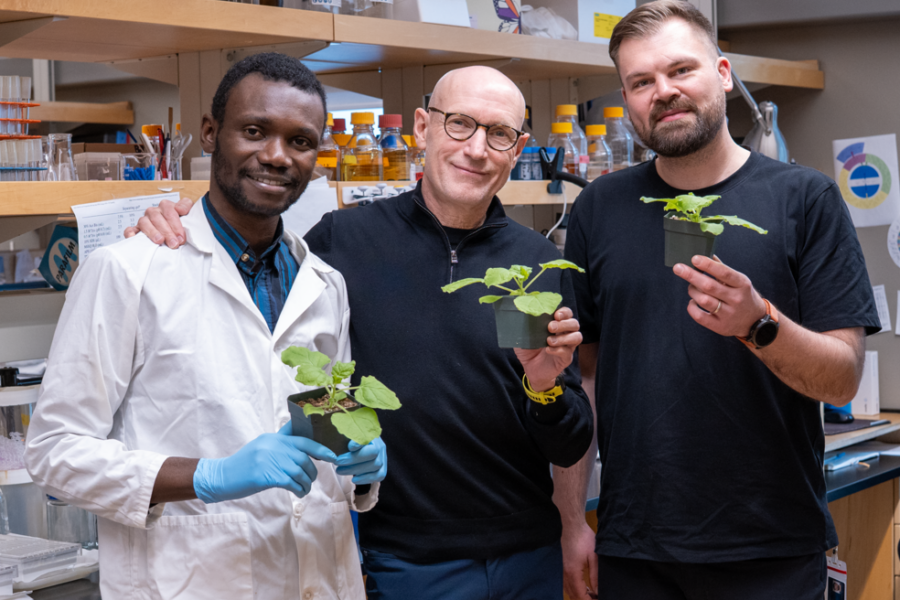 Samuel Oguntimehin, Dr. Jörg Bohlmann, and Dr. Lars Kruse