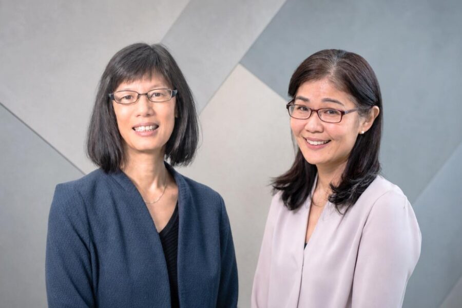 Janice Eng and Teresa Liu-Ambrose