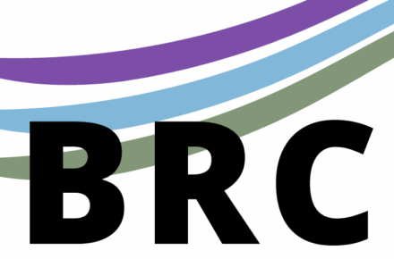Bridge Research Consortium